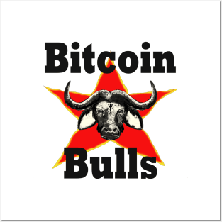 Bitcoin Bull Run Crypto Currency Posters and Art